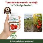 TomatoRod, 100ml