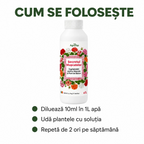 (failed) Secretul Muscatelor