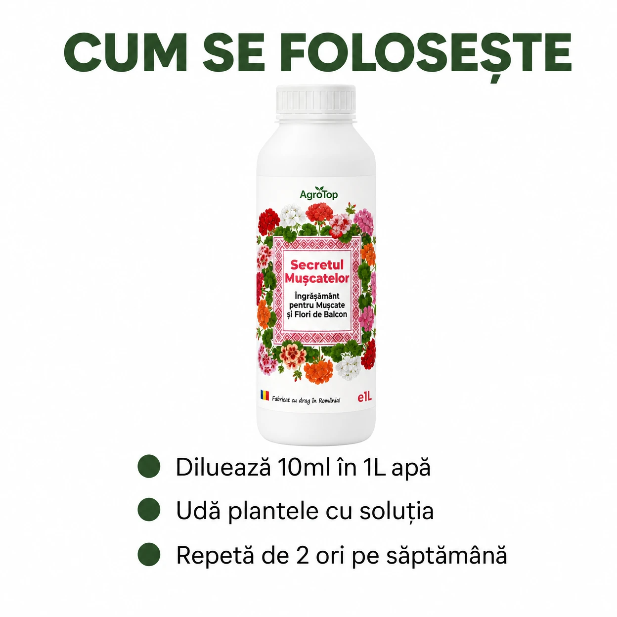 (failed) Secretul Muscatelor