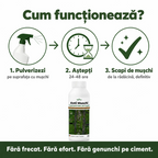 (failed) Anti Muschi, 1L