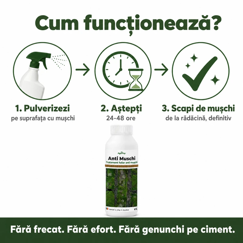 (failed) Anti Muschi, 1L