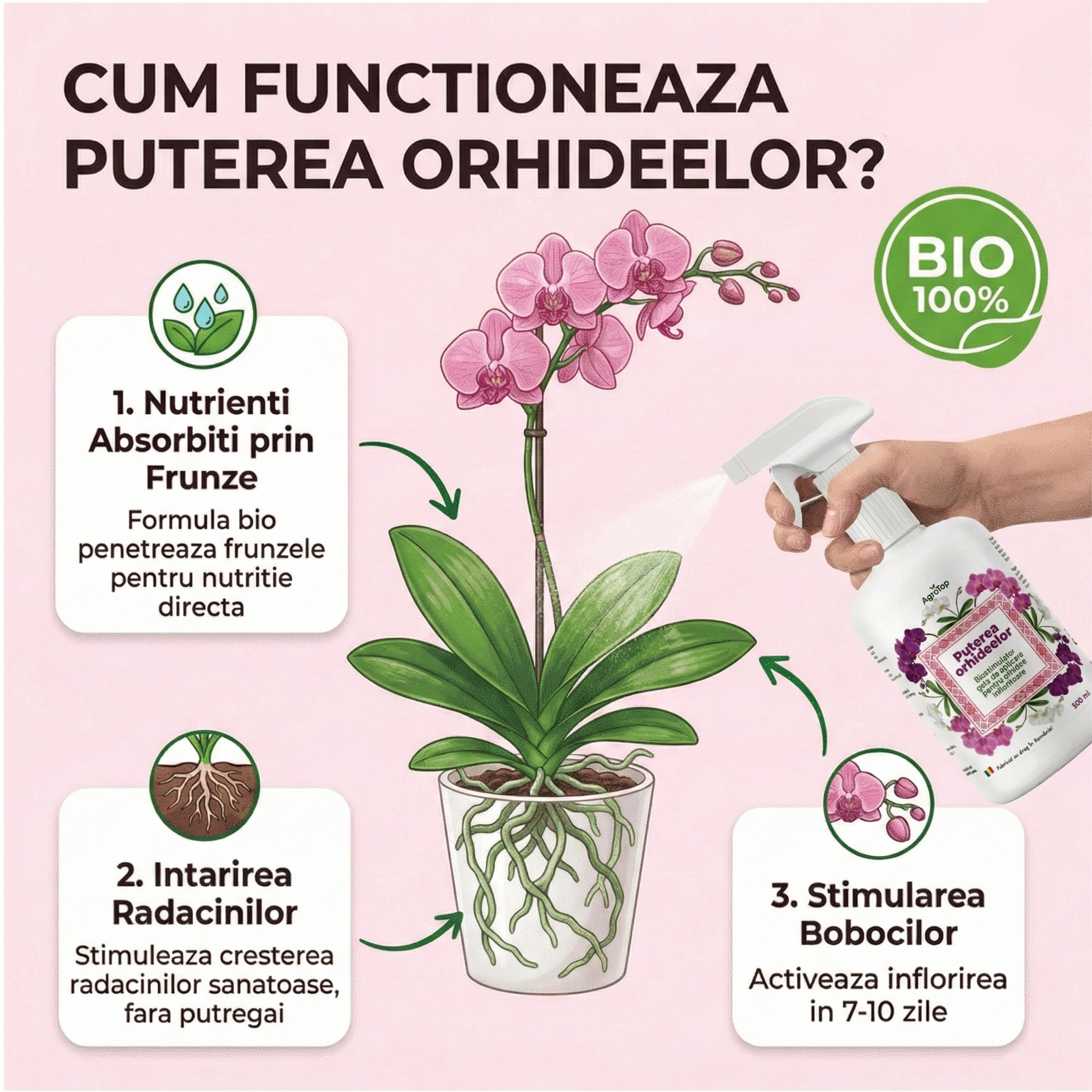 Puterea Orhideelor - Biostimulator pentru nutriția și stimularea dezvoltării orhideelor , 500 ml