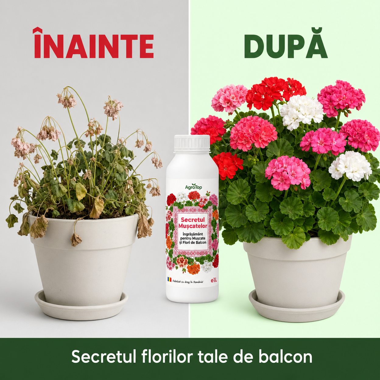 (failed) Secretul Muscatelor