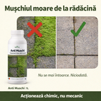 (failed) Anti Muschi, 1L