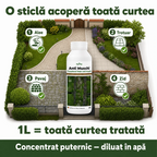 (failed) Anti Muschi, 1L