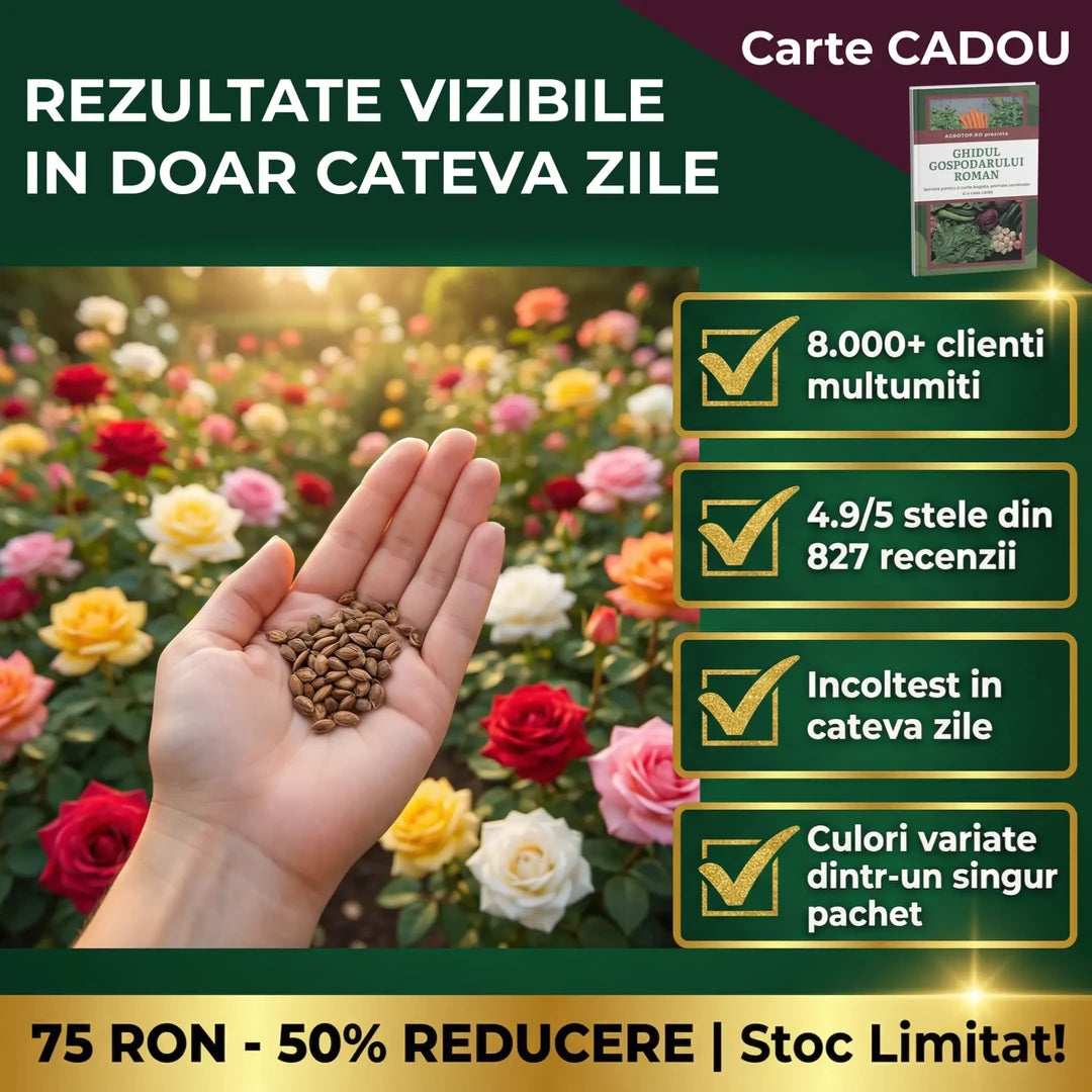 Set 10 buc. Seminte de Trandafiri Multicolori RoseBloom