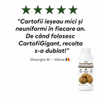 CartofiGigant, 1L buc. - l