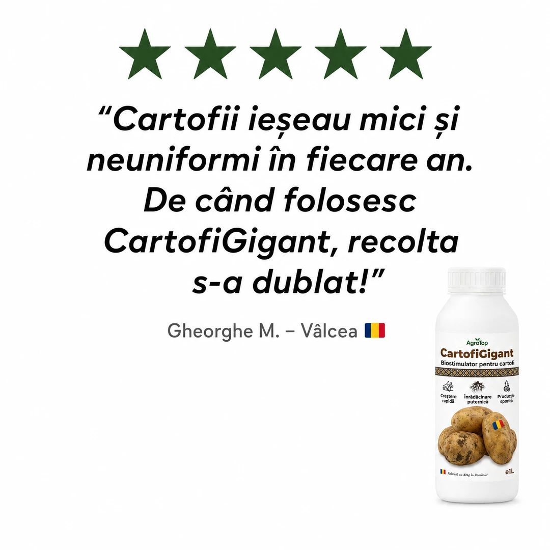 CartofiGigant, 1L buc. - l