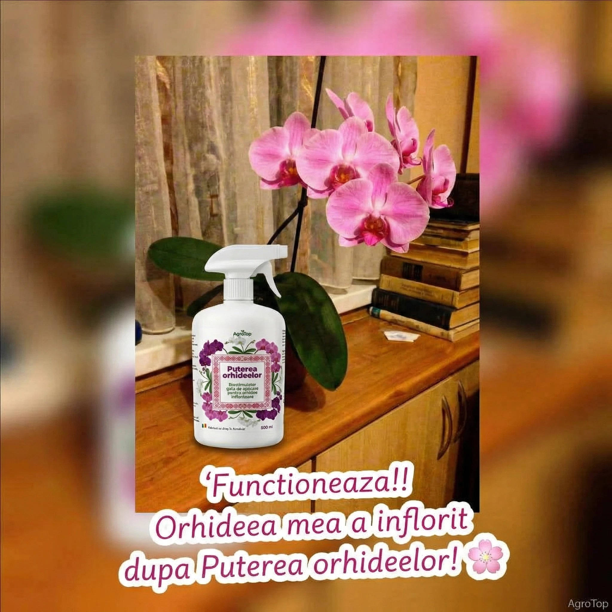 Puterea Orhideelor 500 ml - l