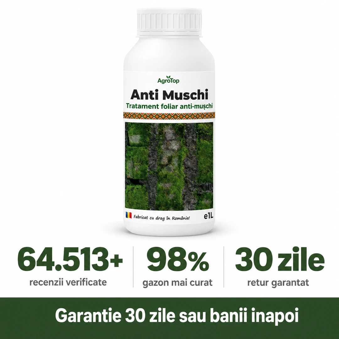 (failed) Anti Muschi, 1L