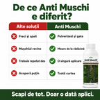 (failed) Anti Muschi, 1L