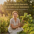 Seminte Alune de pamant cu coaja, Arahide