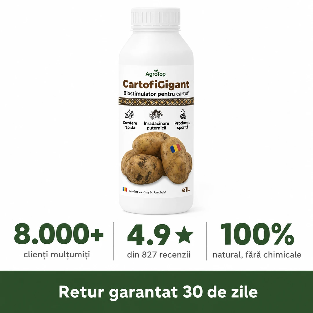 CartofiGigant, 1L buc. - l