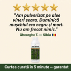 (failed) Anti Muschi, 1L