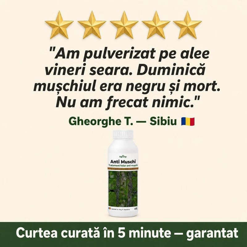 (failed) Anti Muschi, 1L