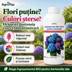 Ingrasamant BIO lichid pentru hortensii, 1L