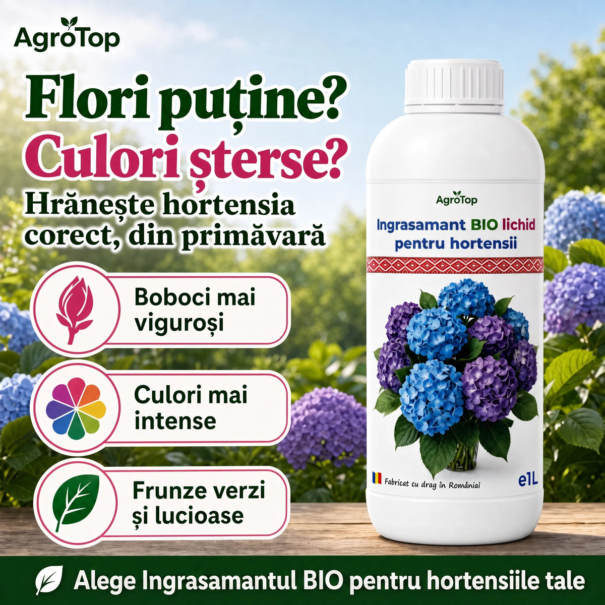 Ingrasamant BIO lichid pentru hortensii, 1L