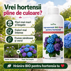 Ingrasamant BIO lichid pentru hortensii, 1L