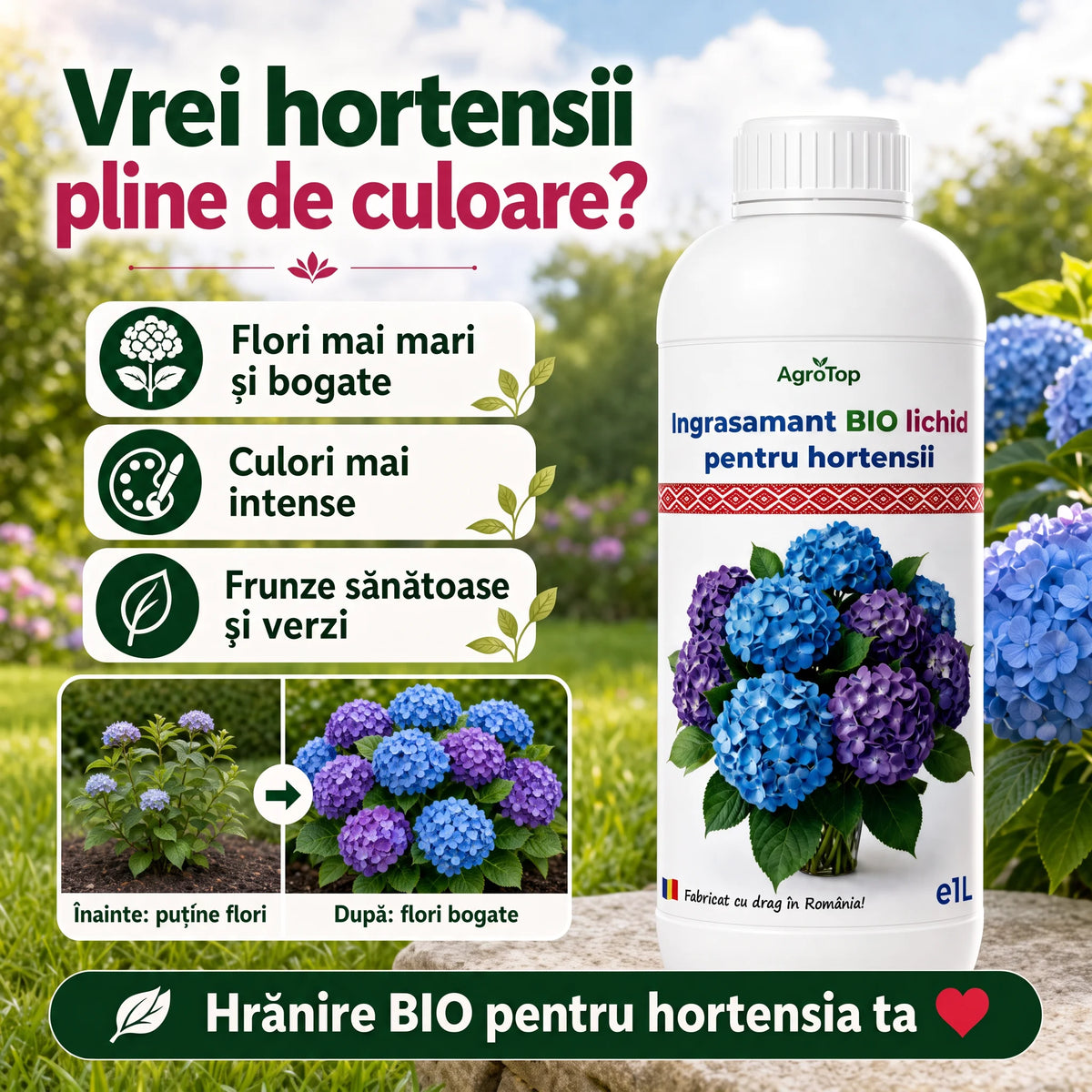 Ingrasamant BIO lichid pentru hortensii, 1L
