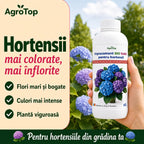 Ingrasamant BIO lichid pentru hortensii, 1L