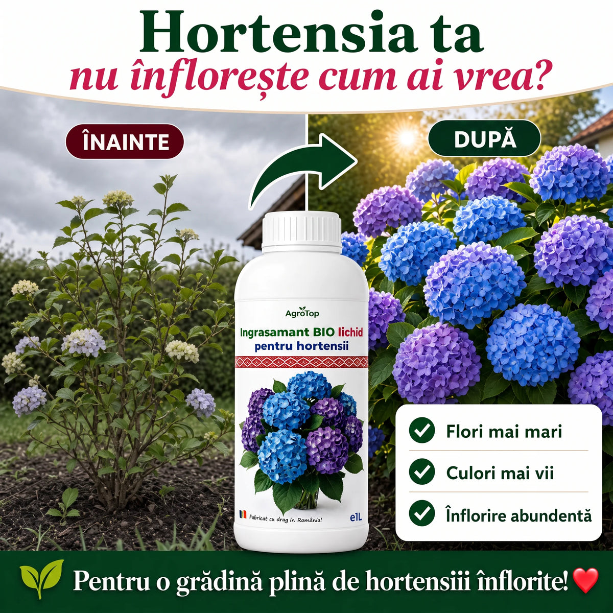 Ingrasamant BIO lichid pentru hortensii, 1L