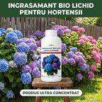 Ingrasamant BIO lichid pentru hortensii, 1L