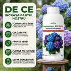 Ingrasamant BIO lichid pentru hortensii, 1L