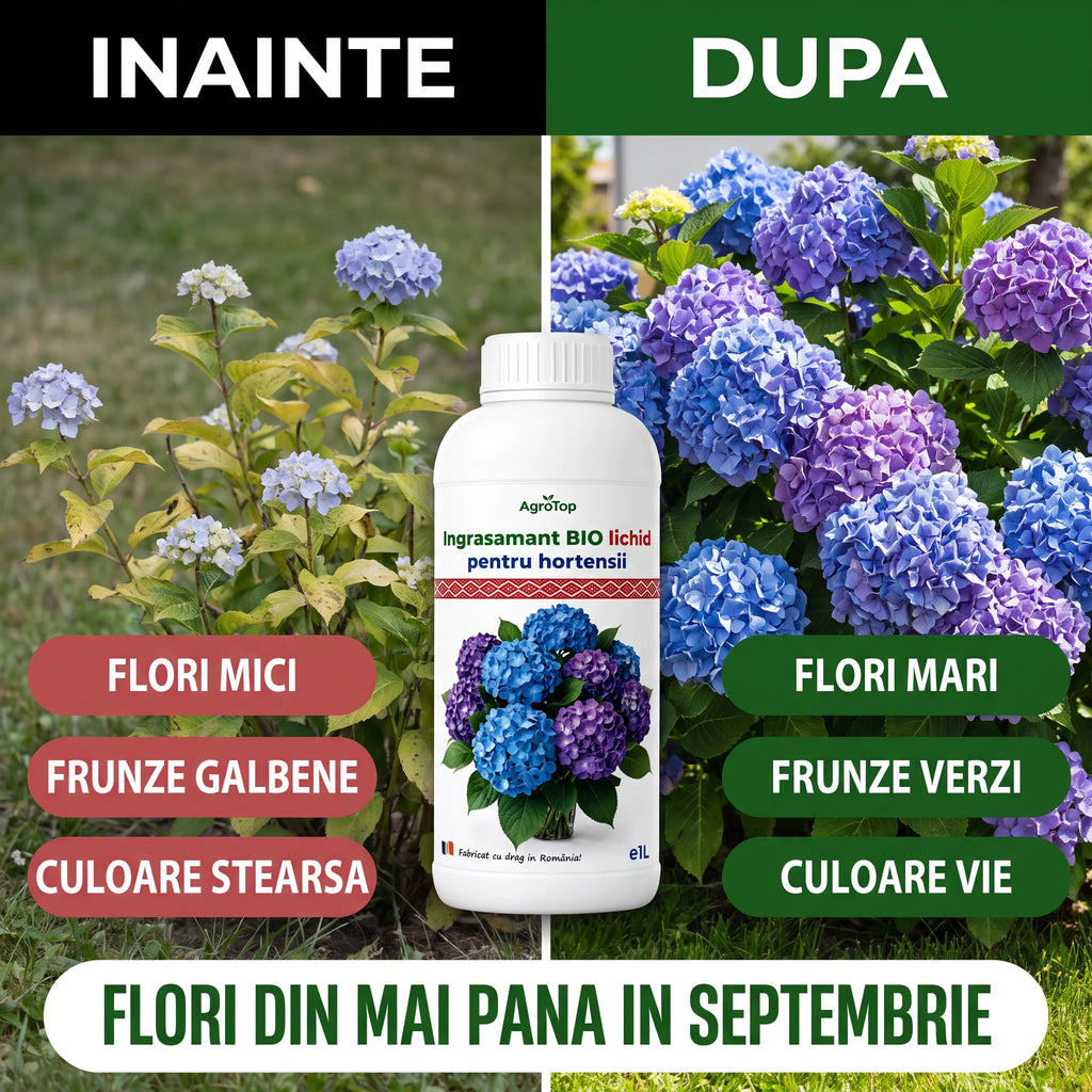 Ingrasamant BIO lichid pentru hortensii, 1L