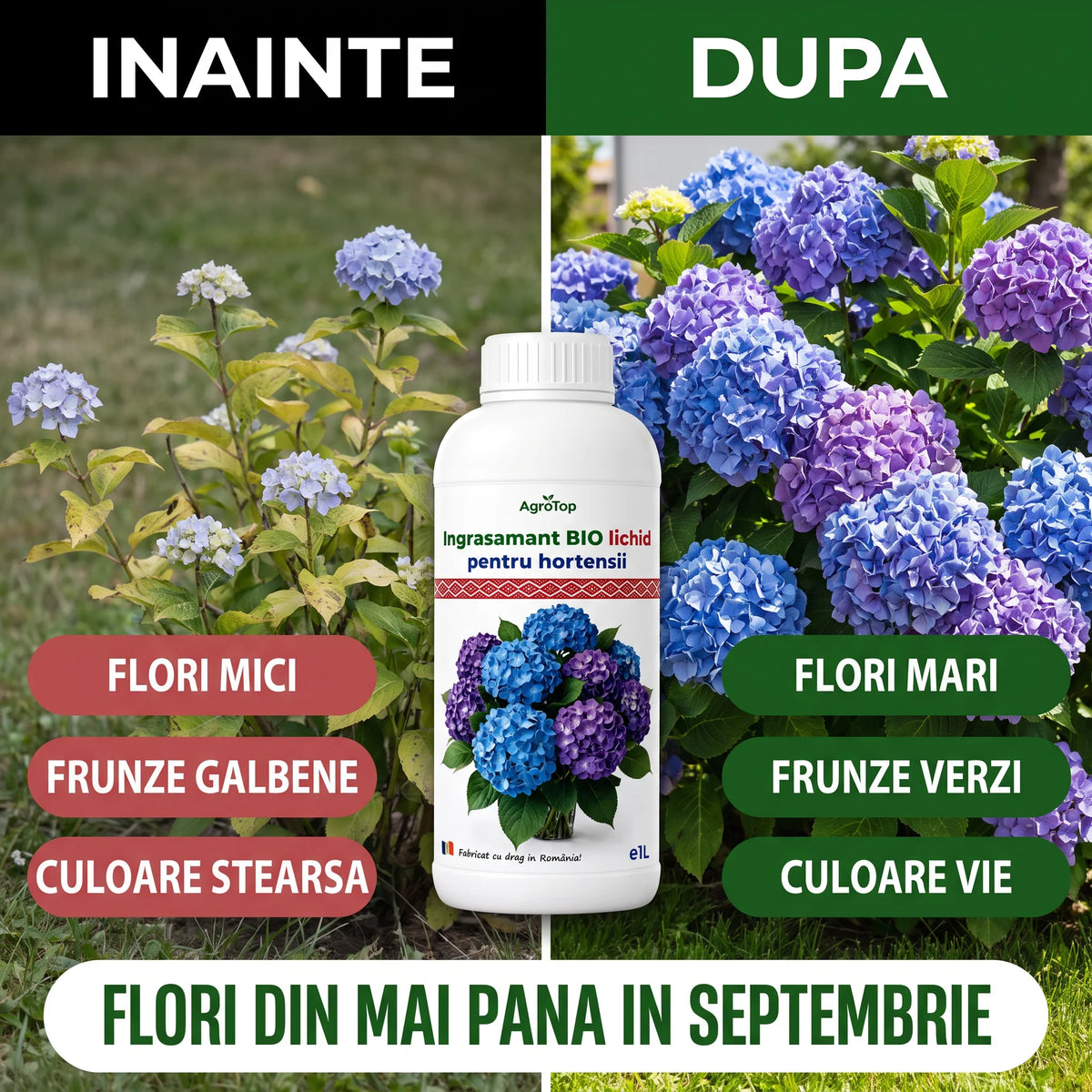 Ingrasamant BIO lichid pentru hortensii, 1L
