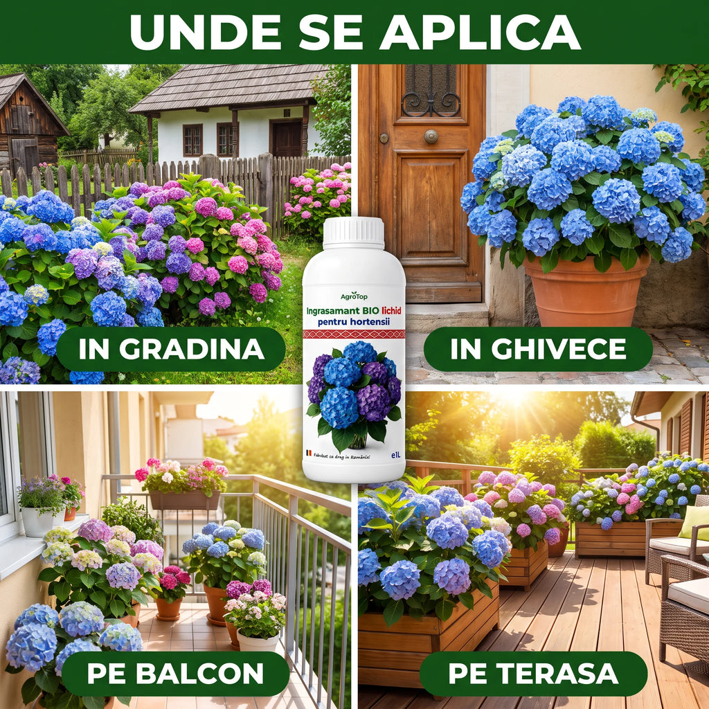 Ingrasamant BIO lichid pentru hortensii, 1L