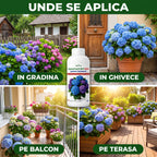 Ingrasamant BIO lichid pentru hortensii, 1L