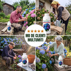 Ingrasamant BIO lichid pentru hortensii, 1L