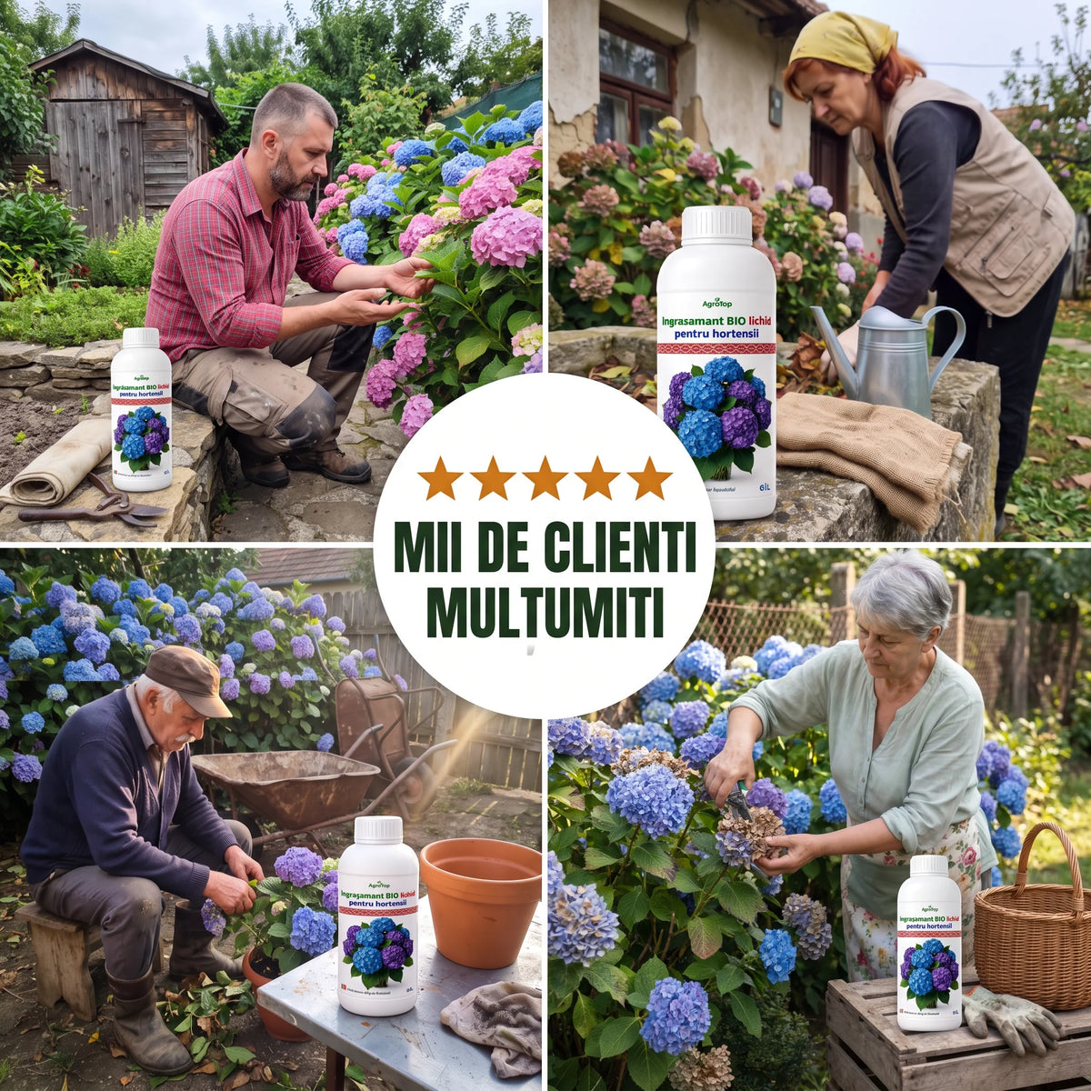 Ingrasamant BIO lichid pentru hortensii, 1L