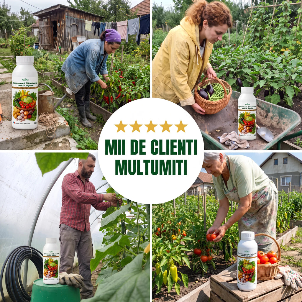 Ingrasamant BIO universal pentru legume, 1L