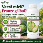 Ingrasamant lichid pentru varză, 1L