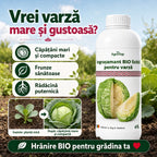 Ingrasamant lichid pentru varză, 1L