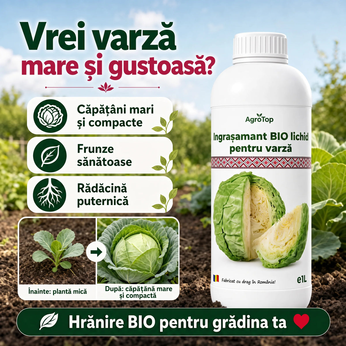 Ingrasamant lichid pentru varză, 1L
