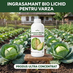 Ingrasamant lichid pentru varză, 1L