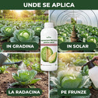 Ingrasamant lichid pentru varză, 1L