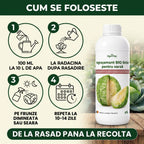 Ingrasamant lichid pentru varză, 1L