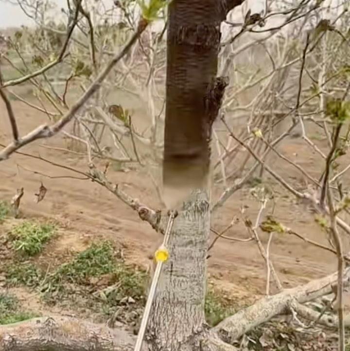 Duză cu presiune pentru stropirea plantelor și a pomilor