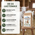 LactoMax - Premix vitamino-mineral pentru capre în lactație, 1KG