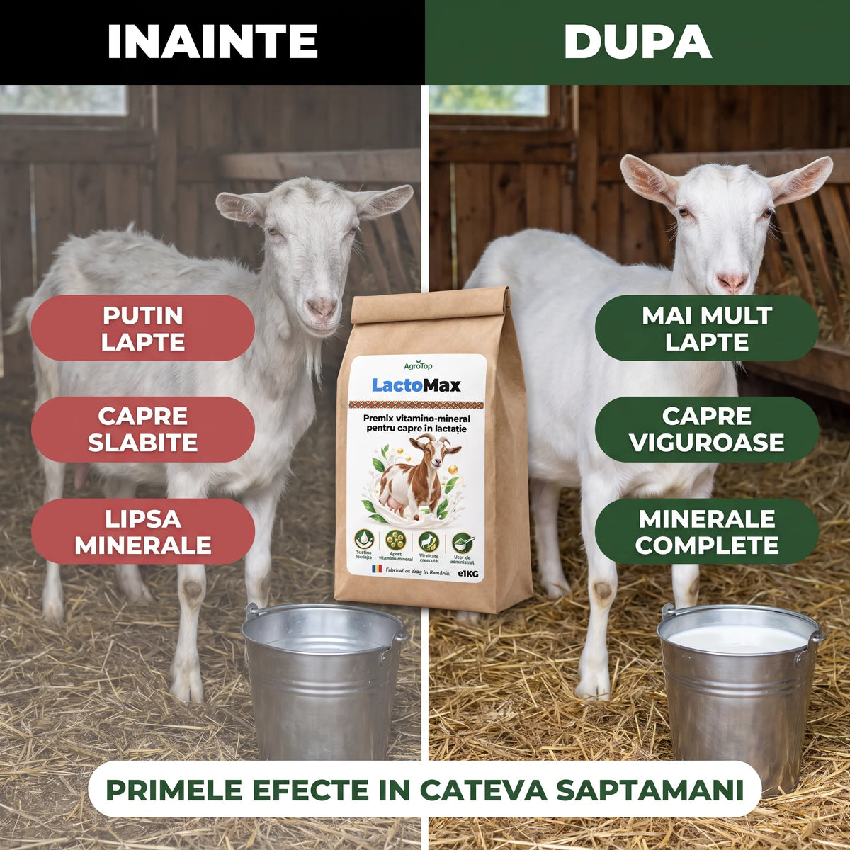 LactoMax - Premix vitamino-mineral pentru capre în lactație, 1KG