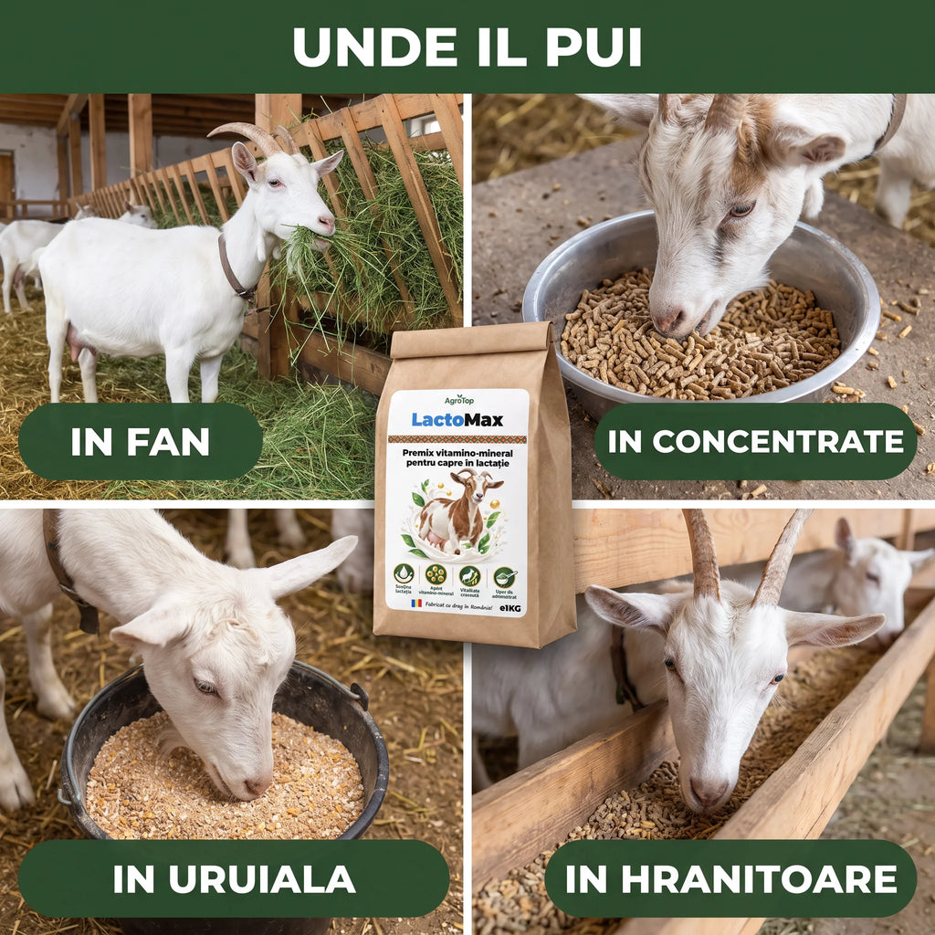 LactoMax - Premix vitamino-mineral pentru capre în lactație, 1KG