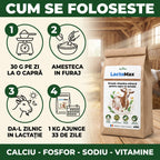 LactoMax - Premix vitamino-mineral pentru capre în lactație, 1KG