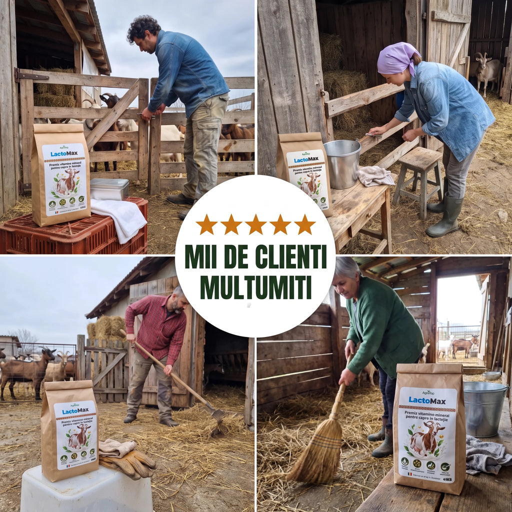 LactoMax - Premix vitamino-mineral pentru capre în lactație, 1KG