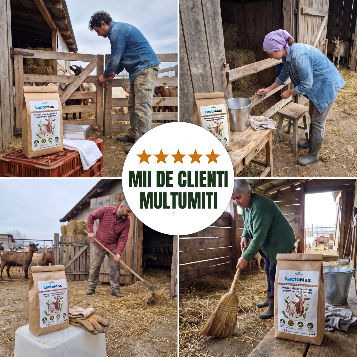 LactoMax - Premix vitamino-mineral pentru capre în lactație, 1KG