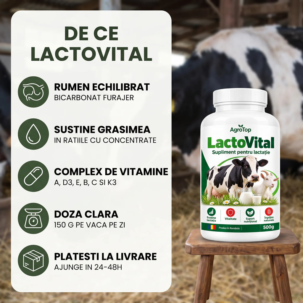 LactoVital - Supliment pentru lactație, 500g