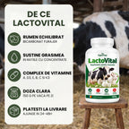 LactoVital - Supliment pentru lactație, 500g