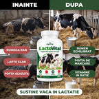 LactoVital - Supliment pentru lactație, 500g
